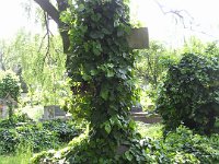 01-49 Ernszt Sándor